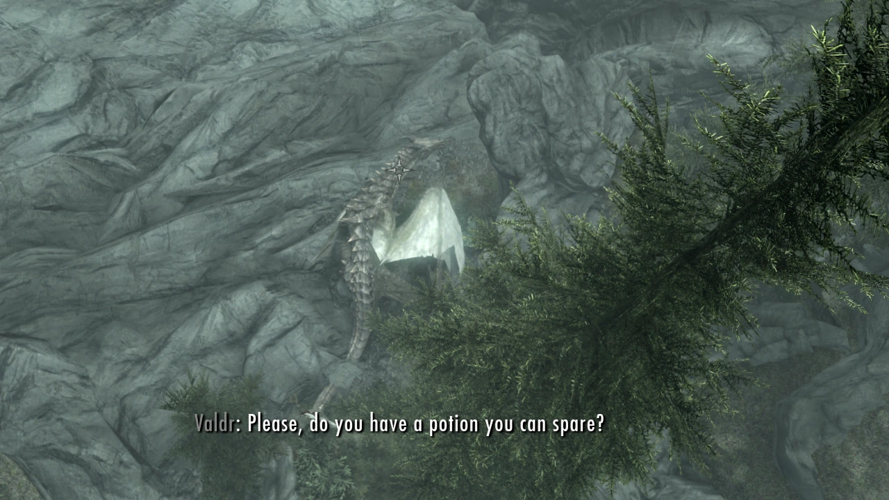 Fahdonmul the dragon flies over an injured adventurer who begs him for a potion