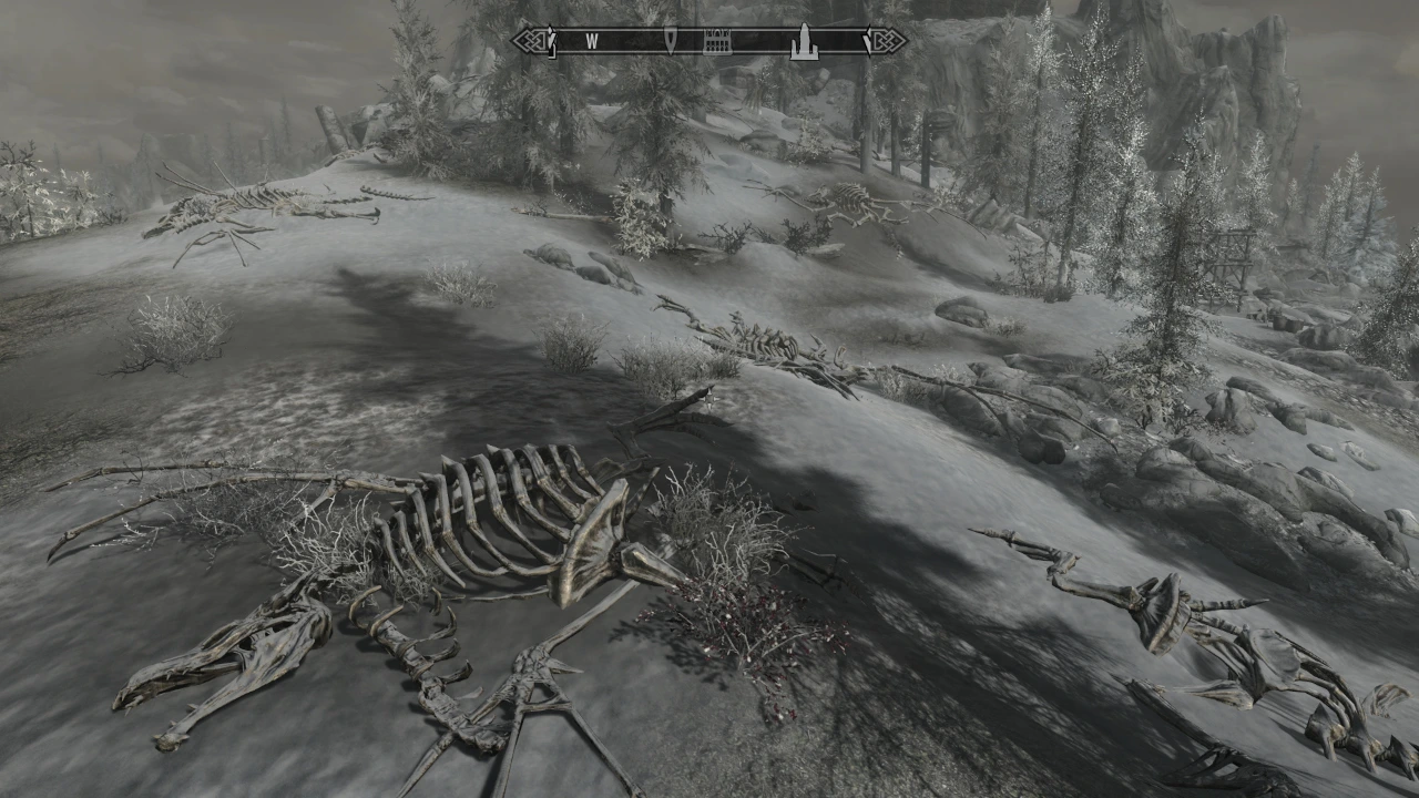 A large number of dragon skeletons strewn near Miraak's home.