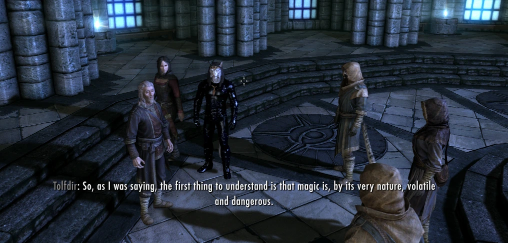 A crowd of students at Winterhold College, including the Dragonborn in a catsuit, and his vampire follower, Serena.