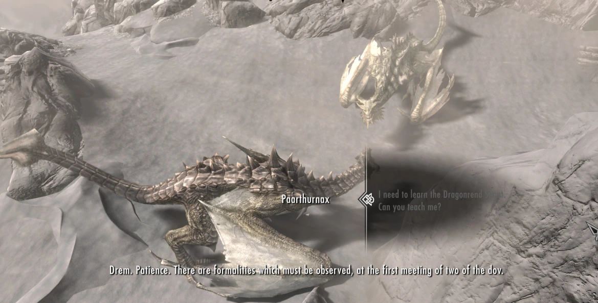 The player - a dragon - meets the old, wise dragon on top of the mountain