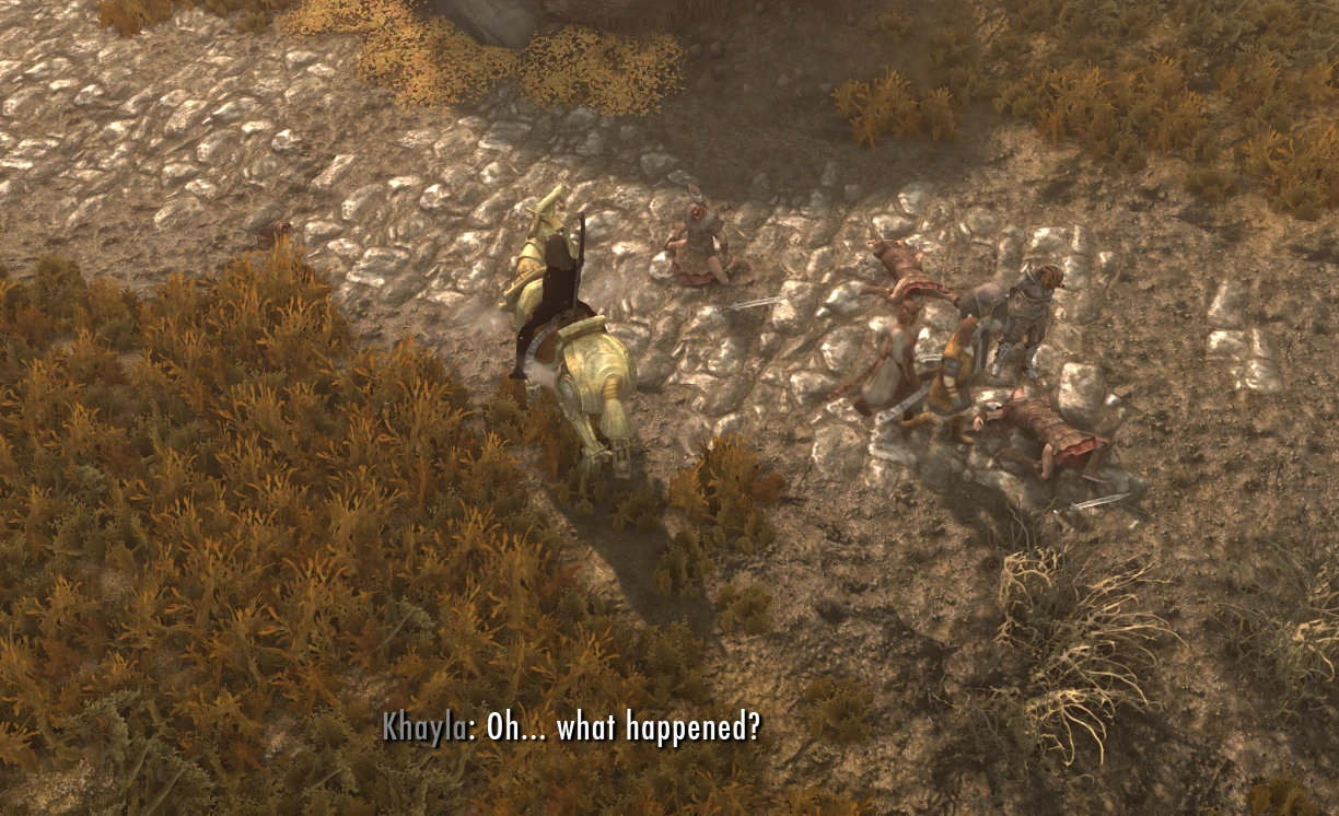 The dragonborn riding off like the Lone Ranger, leaving a trail of bodies which other people examine in horror