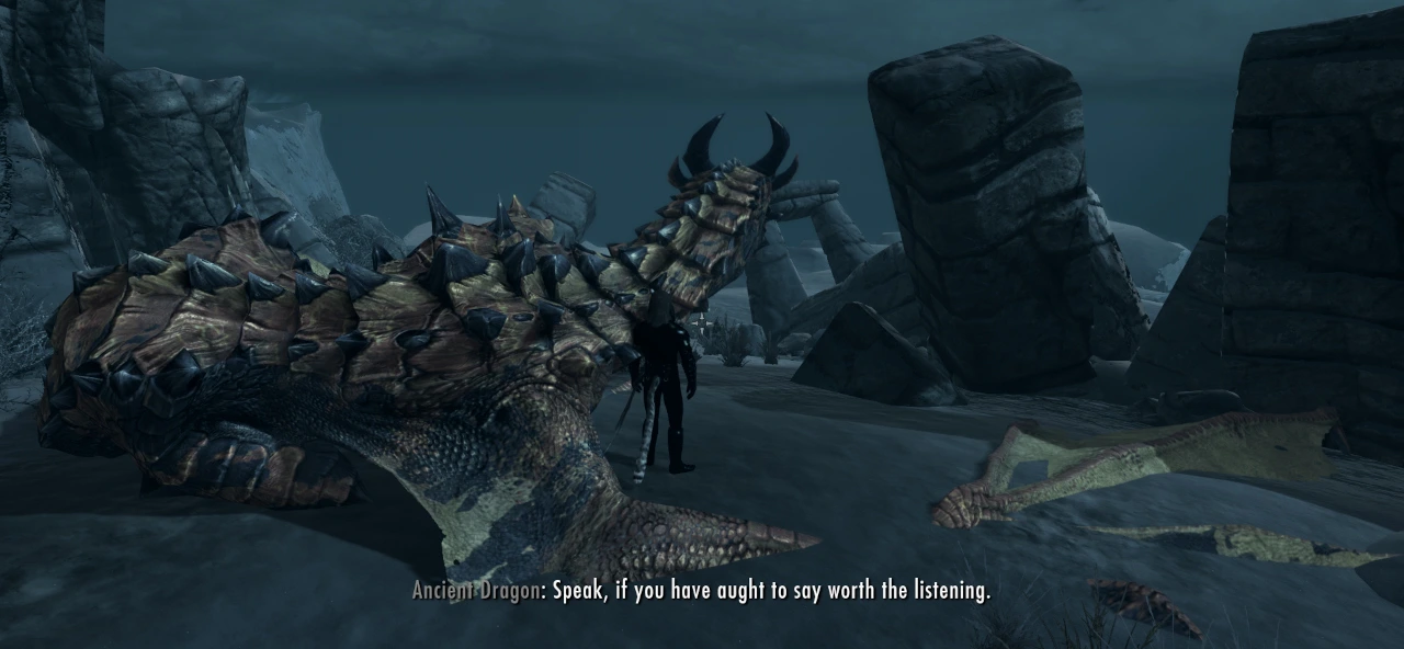 The player stands next to Mr. Ancient Dragon as if they were watching the sunset together, it's kind of sweet