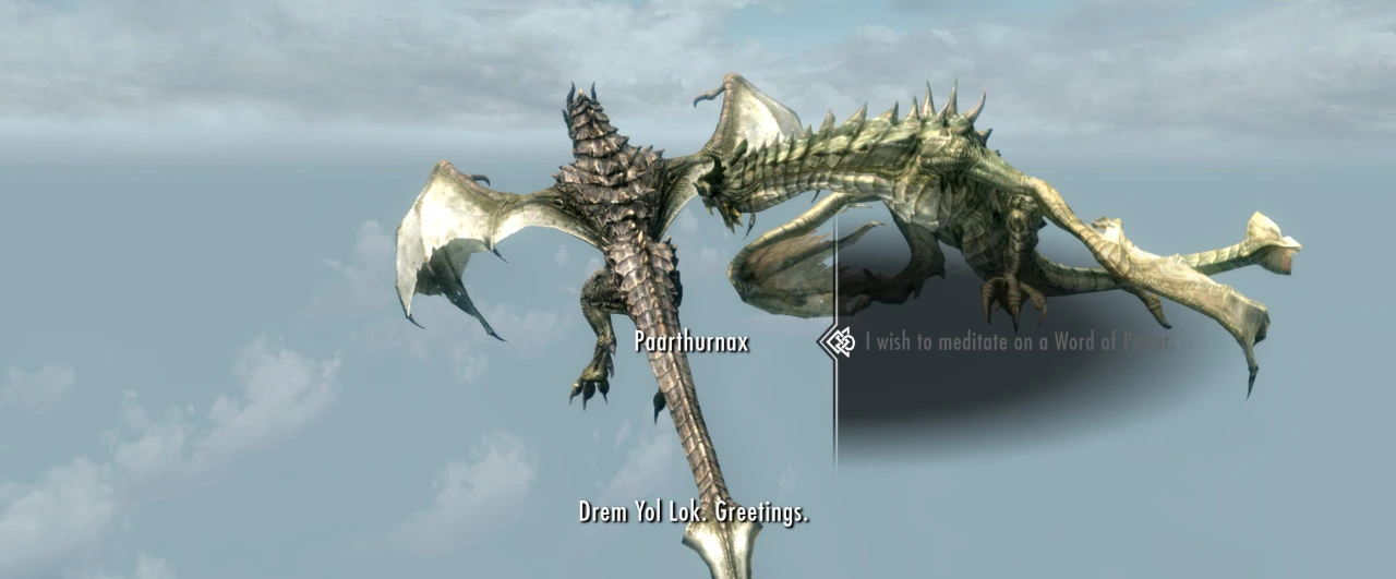 The player - a dragon - talks to Paarthurnax who is sitting in mid-air.