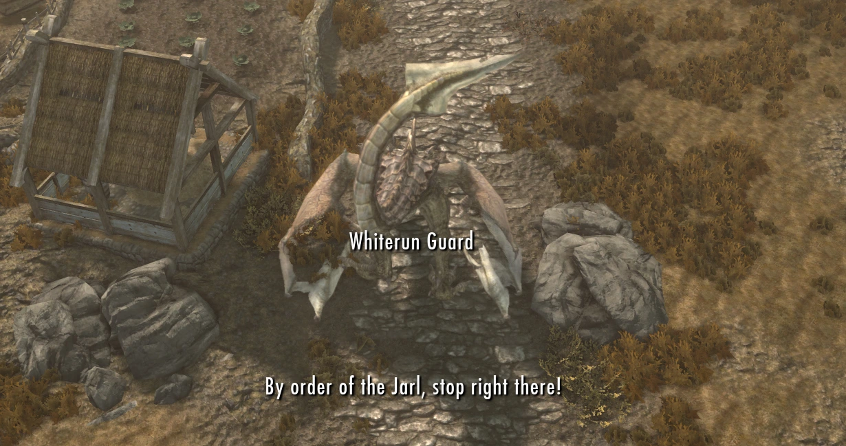 Whiterun guards have arrested a dragon