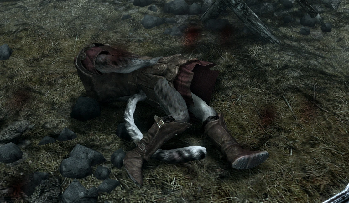 The dragonborn, at the start of the game, having been beheaded by the first group of bandits he ran into
